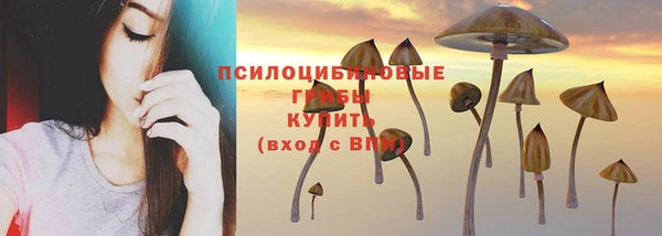 скорость Кинешма
