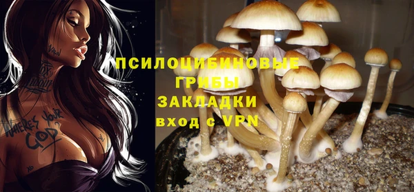 скорость Кинешма