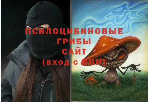 скорость Кинешма