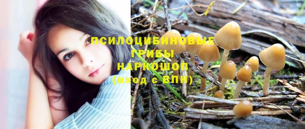 скорость Кинешма