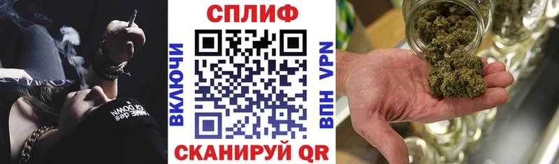Шишки марихуана семена  Купить закладки  Лесной 
